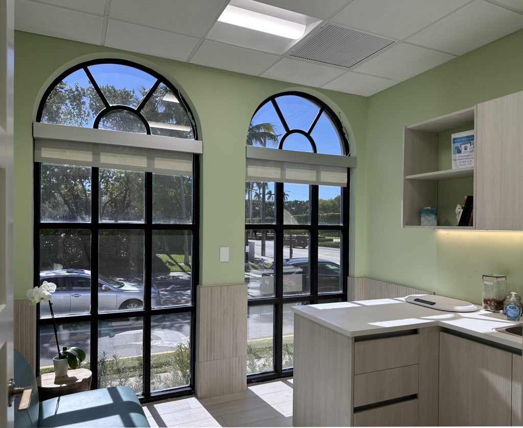 A spacious veterinary treatment room featuring restored Palladian?style windows that fill the space with natural light. The large arched windows create a distinctive architectural feature, complementing the modern cabinetry, soft green walls, and clean, organized layout. This bright, airy animal treatment room is designed to enhance comfort, improve visibility, and support efficient veterinary care.