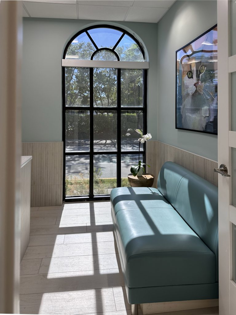 A quiet, sun?lit treatment room designed specifically for cats. The space features a soft, calming color palette with a comfortable upholstered bench, gentle natural light from a large arched window, and simple, uncluttered décor to help reduce stress. The room’s clean lines, serene atmosphere, and minimal distractions create a safe, soothing environment for feline exams and care.
