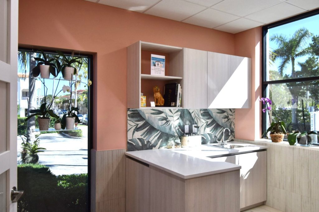 A contemporary veterinary treatment room with tall atrium windows, specialized overhead lighting, and modern storage cabinets. The layout is designed for efficient workflows, making it ideal for exams, treatments, and daily animal care tasks.