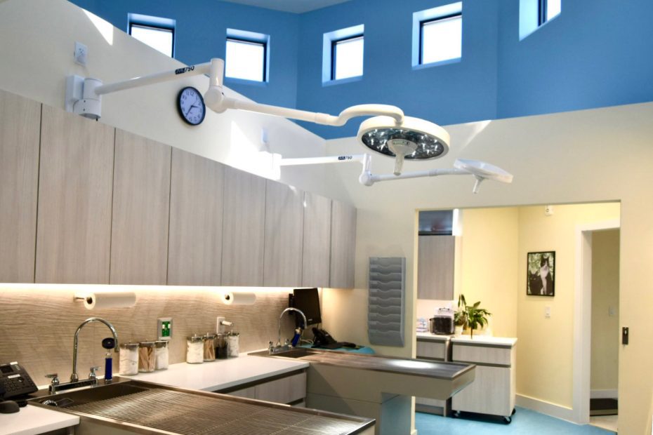 Veterinary surgery A room with an open atrium ceiling, natural light from high windows,